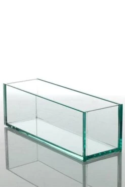 11.75" X 3.75" X 4" Glass Plate Bowl Clear