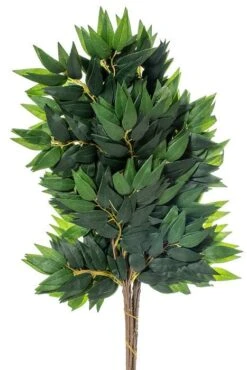 27" Smylax Spray Pkg/12