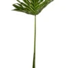 37" Selloum Leaf Stem Green