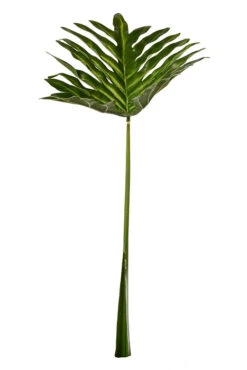 37" Selloum Leaf Stem Green