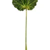 52" Lotus Leaf Stem Green