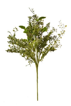 23" Fern Boxwood Mixed