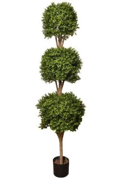 6ft Tri Ball Boxwood Top W/Pot Green/Two Tone