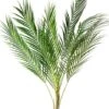 38" Areca Palm Spray Green