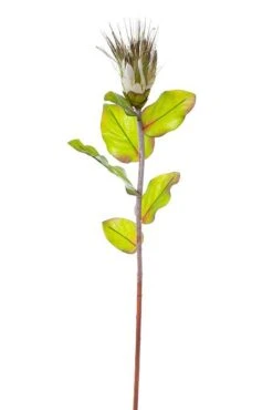 33" Artificial Protea Spray Cream/green