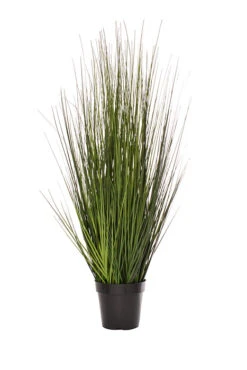 36" Potted Fountain Grass Two Tones Green