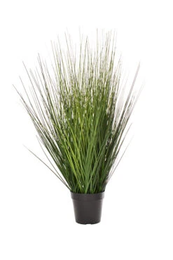 30" Potted Fountain Grass Two Tones Green