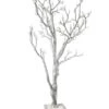 4ft Manzanita Tree W/pot Silver