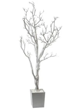 4ft Manzanita Tree W/pot Silver