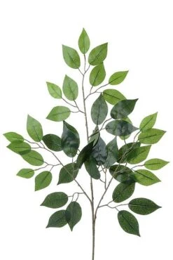 24" Deluxe Ficus Spray Green Pkg/12