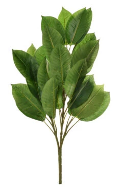 27" Rubber Plant Green