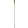 70" Artificial Calla Lily Spray White/boysenberry