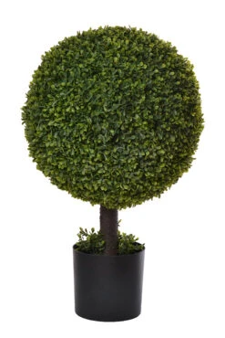25" Boxwood Ball Topiary Green