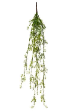 45" Springeri Hanging Bush Green
