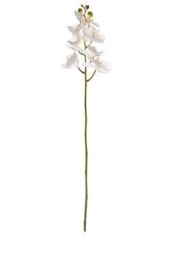 40" Silk Phalaenopsis Spray White