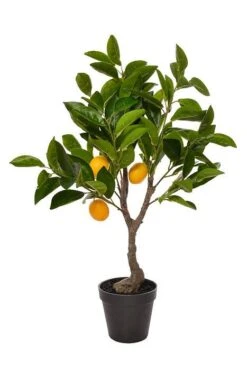 23.5" Lemon Tree In Pot Yellow/Green