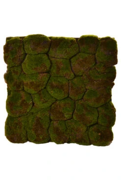 19.5 X19.5" Faux Moss Matt Green/Brown
