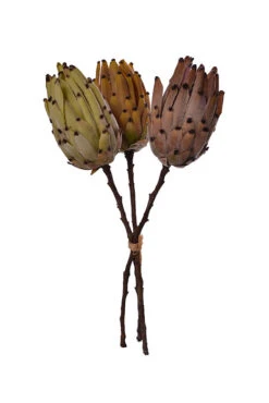 21.5" King Protea Bundle Green/Tan