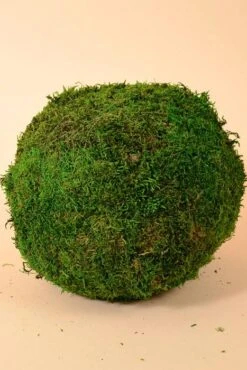 12" Moss Balls Sphere