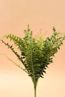 24" Boston Fern Green