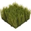 6" X 6" X 4" Wheat Grass Green